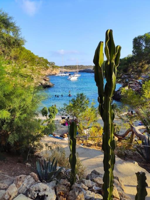 Tranquilo Apartamento Con Vistas Al Mar. Port de Alcudia  Exteriör bild